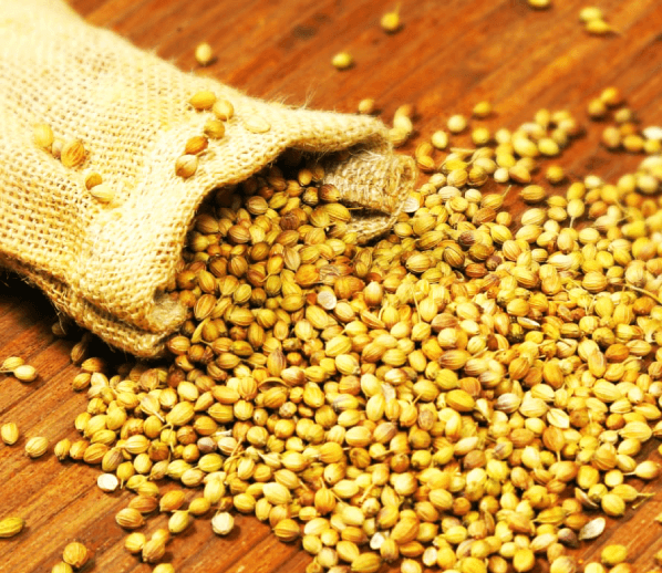 Coriander